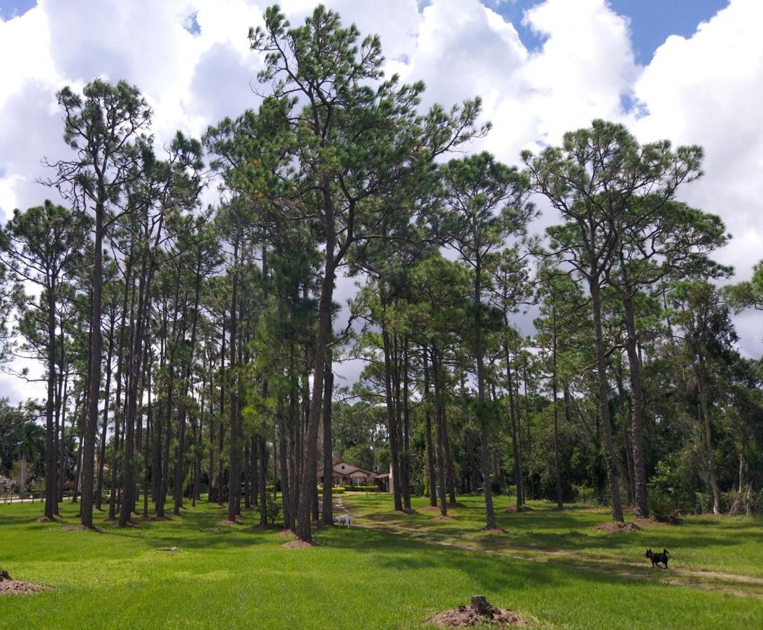 Appartamento The Little Retreat Sebring Esterno foto